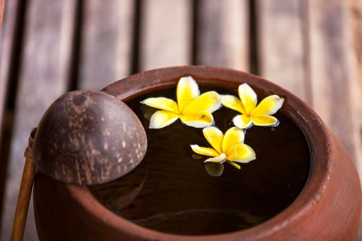 Touching nature. Clay jug relaxing and peaceful with flower plumeria or frangipani decorated on water in bowl in zen style for spa meditation mood