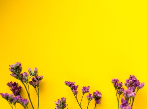 Summer Dried Flowers on Yellow Background. Minimalist flat lay background for mock-up template. High quality photo