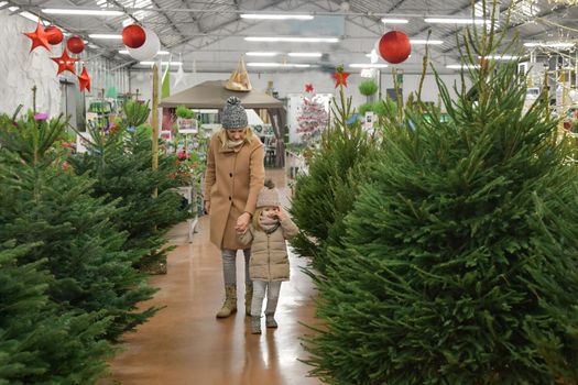 Mother and daughter choose a Christmas tree in the market.