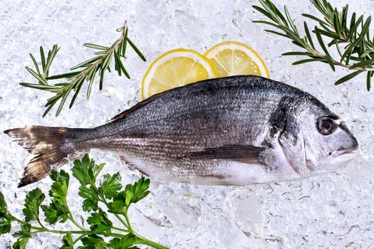 fresh dorado seafood on ice - Stock image