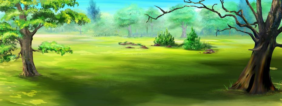 Trees and bush in the forest clearing on a sunny summer day. Digital Painting Background, Illustration.