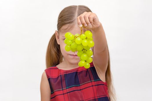Beautiful caucasian little girl of 6 years holding bunch of white grapes in front of face on white background
