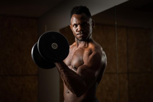 Attractive african american man doing biceps exercise with dumbbells