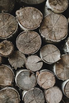 texture of wooden logs of different sizes lying in a heap.
