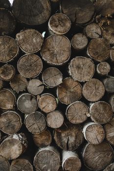 texture of wooden logs of different sizes lying in a heap.
