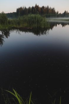 summer evening twilight view on picturesque plain lake surface with reflections of sky and trees.