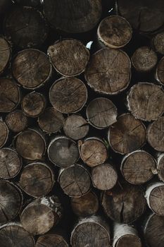 texture of wooden logs of different sizes lying in a heap.