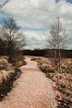 The High Fens, Hoge Venen, Belgium, Signal Van Botrange