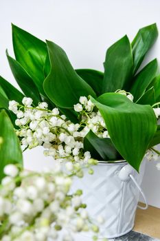 bouquet of lilies of the valley in white bucket on a white table with copy space. concept of holiday background, springtime at home