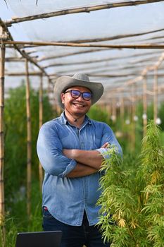 Portrait of young male innovative farmer standing among his commercial greenhouse hemp crop. Business agricultural cannabis farm concept.