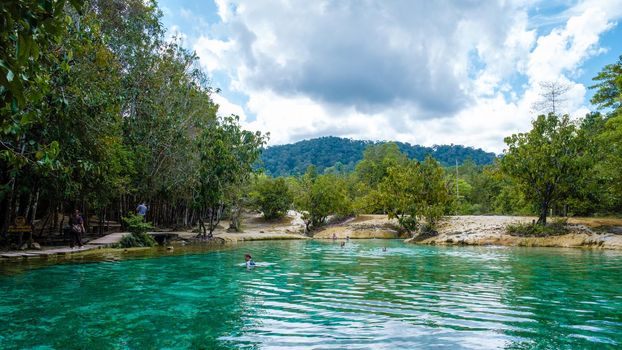 Emeral lake Blue pool Krabi Thailand mangrove forest Krabi Thailand.