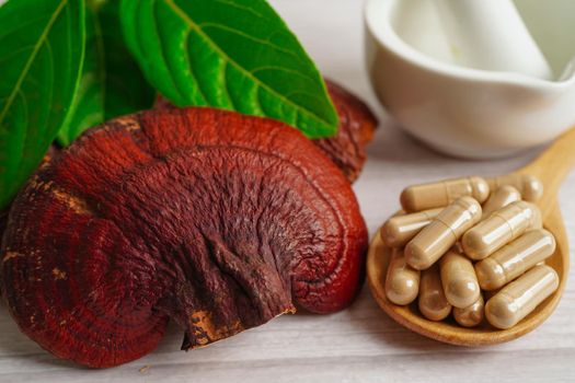 Lingzhi or Reishi mushroom with capsules, organic natural healthy food.