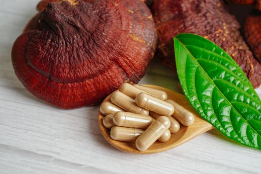 Lingzhi or Reishi mushroom with capsules, organic natural healthy food.