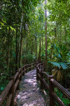 Emeral lake Blue pool Krabi Thailand mangrove forest Krabi Thailand.