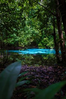 Emeral lake Blue pool Krabi Thailand mangrove forest Krabi Thailand.