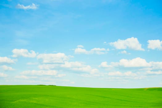 Clouds in a crystal clear, cool-blue sky, an meadow stretches out across a seemingly endless landscape of gentle hills. The grass is lush and vibrantly colored in several striking shades of green.