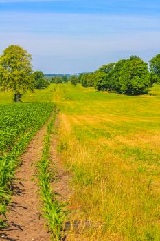 North German agricultural field forest and nature landscape panorama in Hemmoor Hechthausen Cuxhaven Lower Saxony Germany.