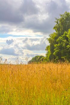 North German agricultural field forest and nature landscape panorama in Hemmoor Hechthausen Cuxhaven Lower Saxony Germany.