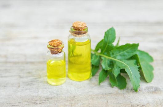 Arugula oil in a small bottle. Selective focus. nature.