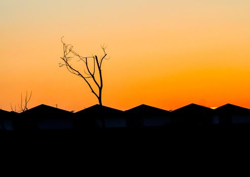 city urban gable roof houses figure silhouette at sunset orange sky