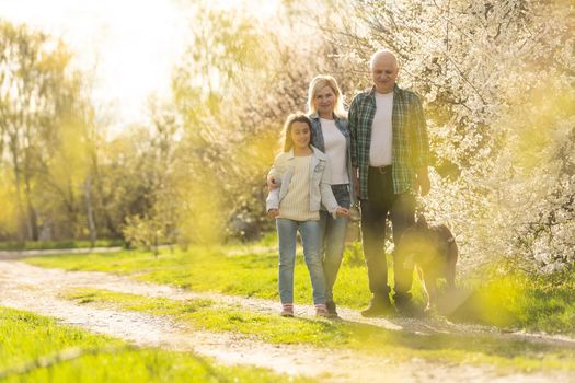 senior grandparents with grandchild in orchard in spring