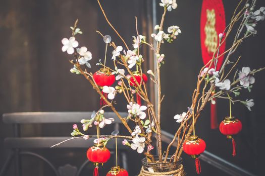 Chinese New Year Background. Red Blooming Sakura Branches on Bright Backdrop