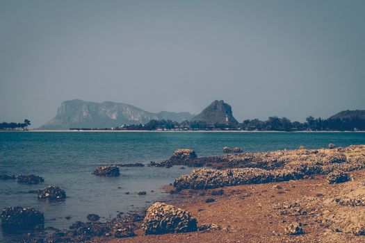 Beach, rocks, mountains. Dramatic gold and blue coastline. Sharp rough dark stones adorn the ultramarine blue wide ocean.