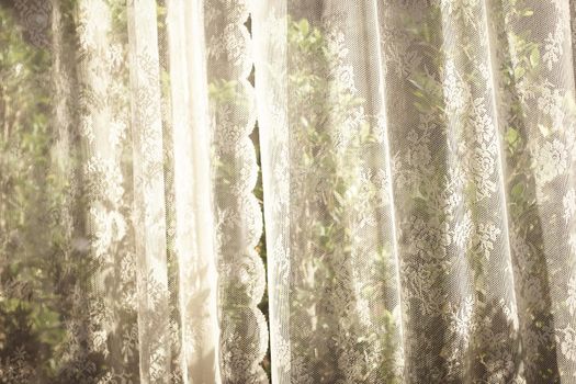 white curtain with window view tree garden background.