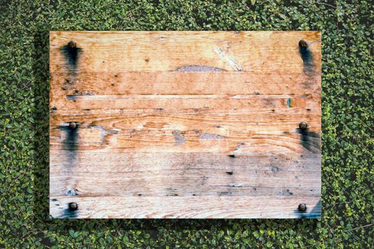 Wood old planks sign. Wooden sign on nature tree background