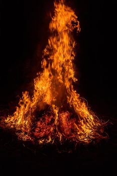 big bonfire, grass fire burn. Selective focus. nature.