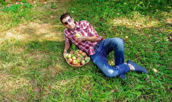 Man gardener picks apples in the garden in the garden. Selective focus.