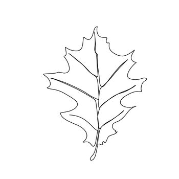 Autumn leaf continuous line drawing. Autumn leaf one line style icon.