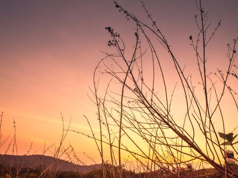 Atmospheric landscape with silhouettes of mountains, hills, forest at sunset