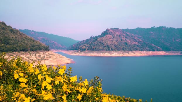 Colorful yellow flowers in bloom, lake water and blue sky background. Summer holiday idea