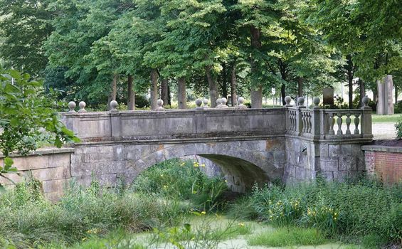 Old romantic stone bridge. The water beneath is green from duckweed. A yellow iris grows at the foot of the bridge. Location: Frenswegen, Germany