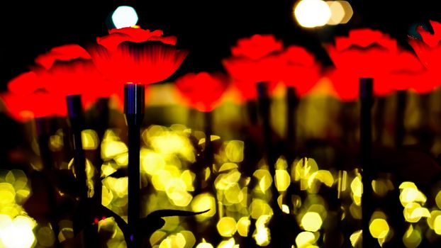 Red roses on abstract bokeh background for love Valentine’s Day greeting card