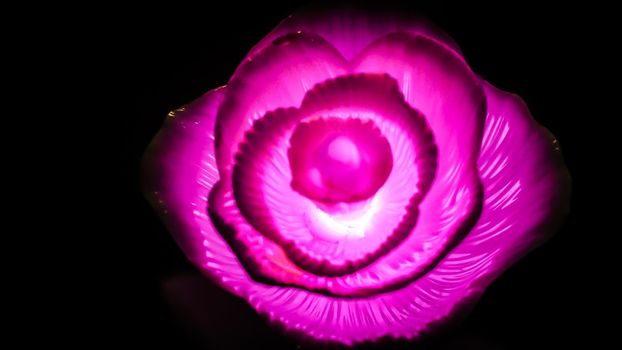 Rose background. Rose lanterns, part of Beauty and the Beast installation at Festival of Light.