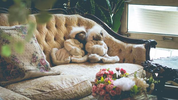 Classical library room with leather armchair, wooden table with vintage bear dolls