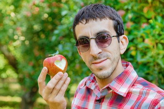 Man gardener picks apples in the garden in the garden. Selective focus.