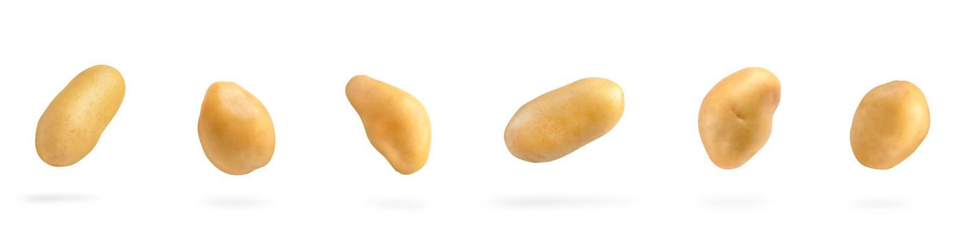 Fresh unpeeled potatoes, isolated on white background. Big set flying potatoes on a white isolated background casts a shadow