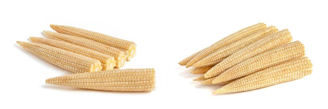 Set of stacks of corn on a white background. Baby corn isolated on white uniform background, clipping path, full depth of field