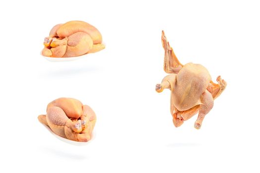 Chicken, raw, walking, casting a shadow, wings spread. Raw chicken isolated on white background. Corn chicken.