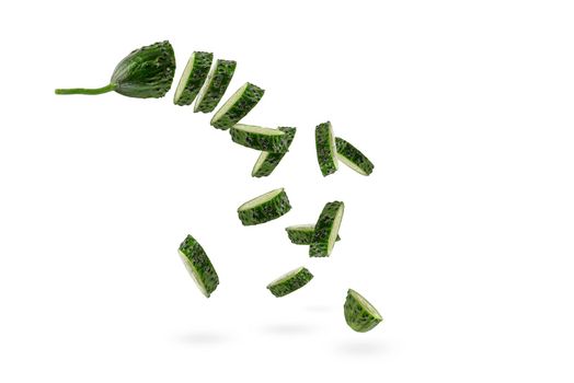 Falling cucumber slices on white isolated background. The cucumber scatters. Cut fresh cucumber into slices hanging in the air