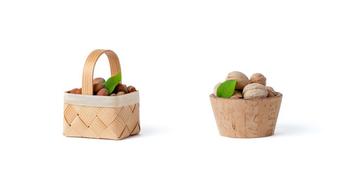 Walnuts and hazelnuts of different varieties lie in wooden saucers and baskets on a white isolated background. Nearby green leaves, walnuts and shelled hazelnuts.