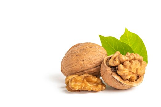Peeled walnut fruits lie on a white isolated background with green leaves. Walnut in shell. White isolate for design and insertion into the project