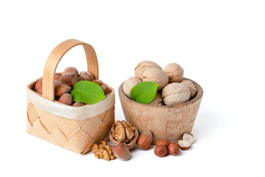 Walnuts and hazelnuts of different varieties lie in wooden saucers and baskets on a white isolated background. Nearby green leaves, walnuts and shelled hazelnuts.