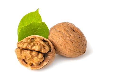 Walnut fruits lie on a white isolated background. Peeled walnut and green leaves with shadow. White isolate for design and project insertion.