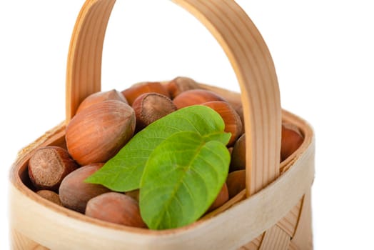 Hazelnut lies in a wooden basket on a white isolated background. Unpeeled hazelnuts in shell and green leaves.