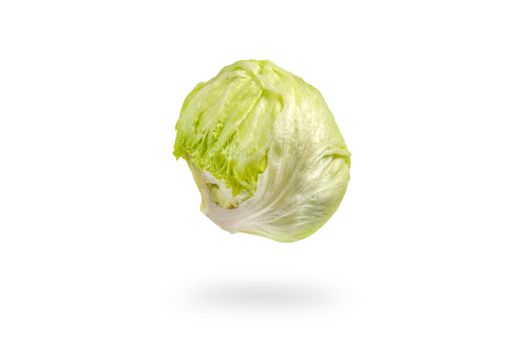 Green iceberg lettuce on white isolated background, drops casting shadow. Iceberg green salad for making popular burgers.