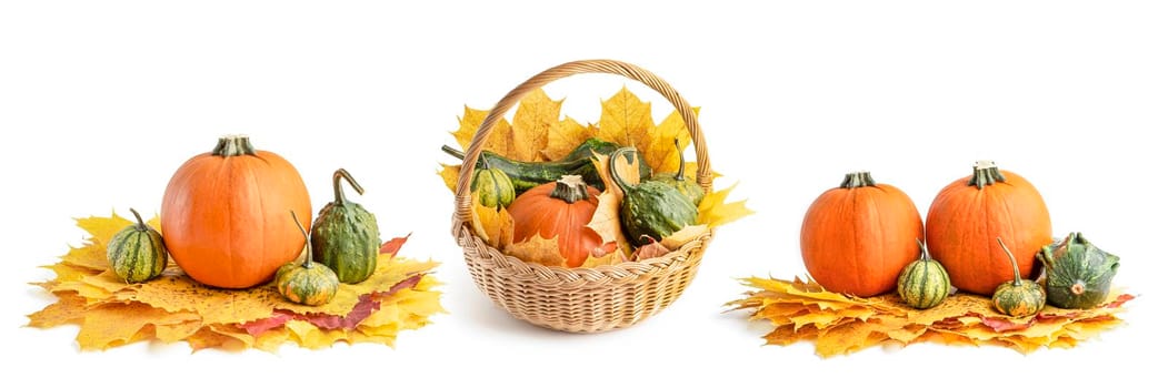 A large set of small pumpkins and pumpkin in a wicker basket, for Halloween decoration. Isolate on white background. Autumn set of decorative pumpkins and maple leaves